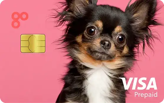 Chihuahua debit card design