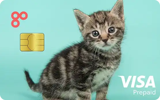 Kitten debit card design